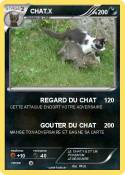 CHAT.X