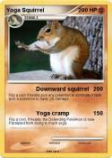 Yoga Squirrel