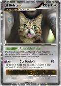 Lil Bub