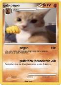 gato pegon