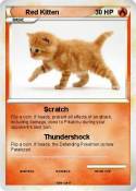 Red Kitten