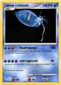 calmar cochonet