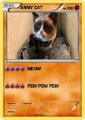 ARMY CAT