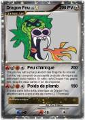 Dragon Feu