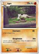 tigre