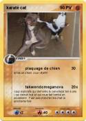 karaté cat