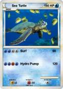 Sea Turtle