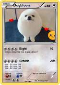 Dogbloon