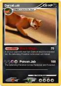 Darcat