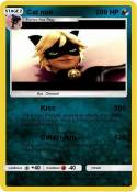 Cat noir