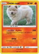 CHOW chow