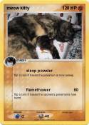 meow kitty