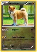 ~♦ Shiba ♦~