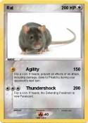 Rat