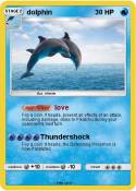 dolphin