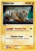 Thunder tiger
