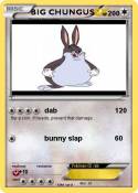BIG CHUNGUS