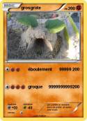 grosgrote
