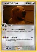 LUCAS THE DOG