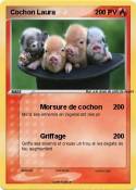 Cochon Laura