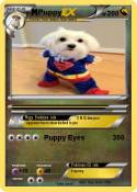 Puppy