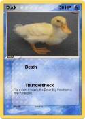 Duck