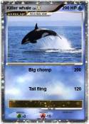 Killer whale
