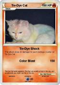 Tie-Dye Cat