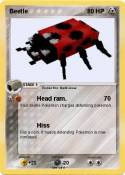 Beetle