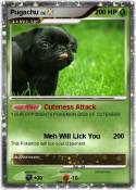 Pugachu