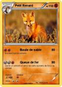 Petit Renard