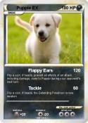 Pupple EX