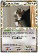 chat terrifiant
