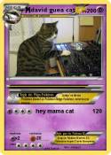 david guea cat