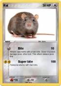 Rat