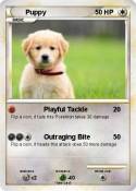 Puppy