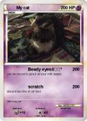 My cat