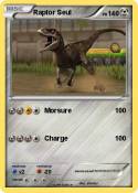 Raptor Seul