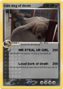 cute dog of