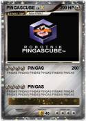 PINGASCUBE