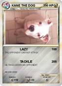 KANE THE DOG