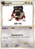 pug life