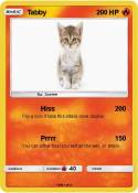 Tabby