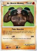 M.r Muscle