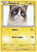 Grumpy cat