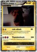 raichu puppy