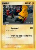 big bird