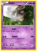 Rabbit