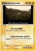 shane brennan