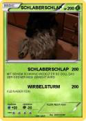 SCHLABERSCHLAP